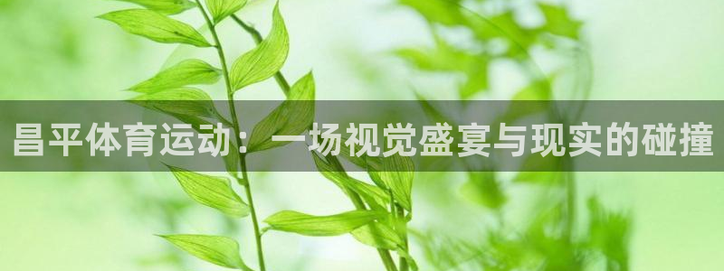3377体育官方app下载