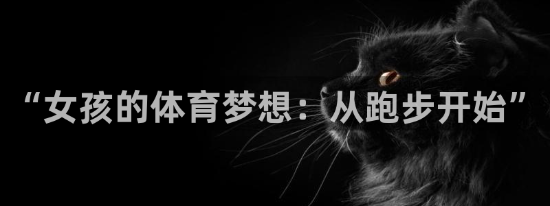 3377体育官网入口下载最新