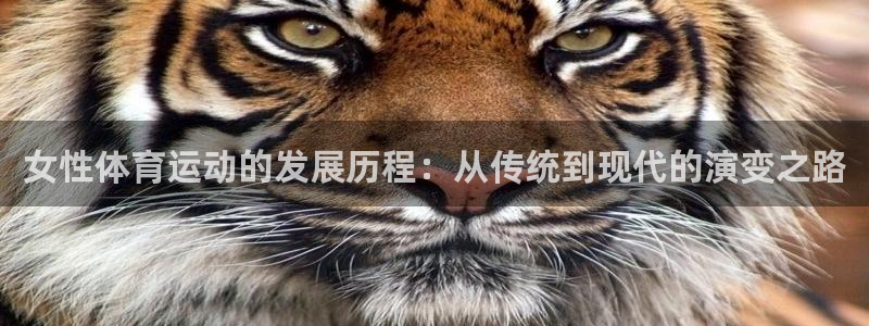 3377体育官网下载