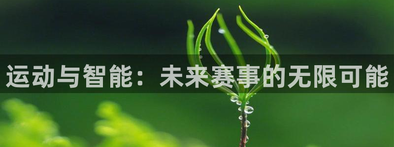 3377体育app下载安装