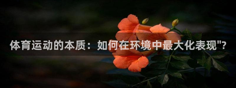 3377体育官网入口网页版