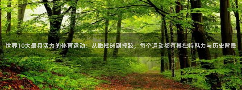 3377体育app下载安装：世界10大最具活力的体育运动：从橄榄球到摔跤，每个运动都有其独特魅力与历史背景