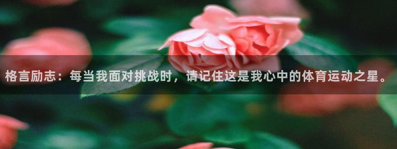 3377体育在线登录官网入口：格言励志：每当我面对挑战时，请记住这是我心中的体育运动之星。