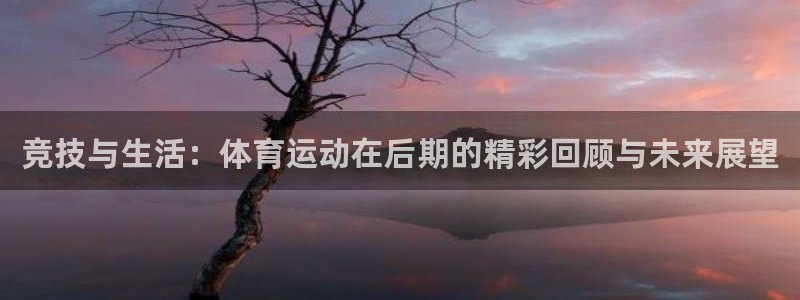 3377体育平台：竞技与生活：体育运动在后期的精彩回顾与未来展望