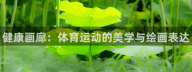 3377体育在线：健康画廊：体育运动的美学与绘画表达