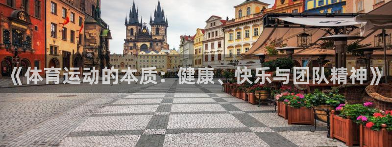 3377体育靠谱吗：《体育运动的本质：健康、快乐与团队精神》